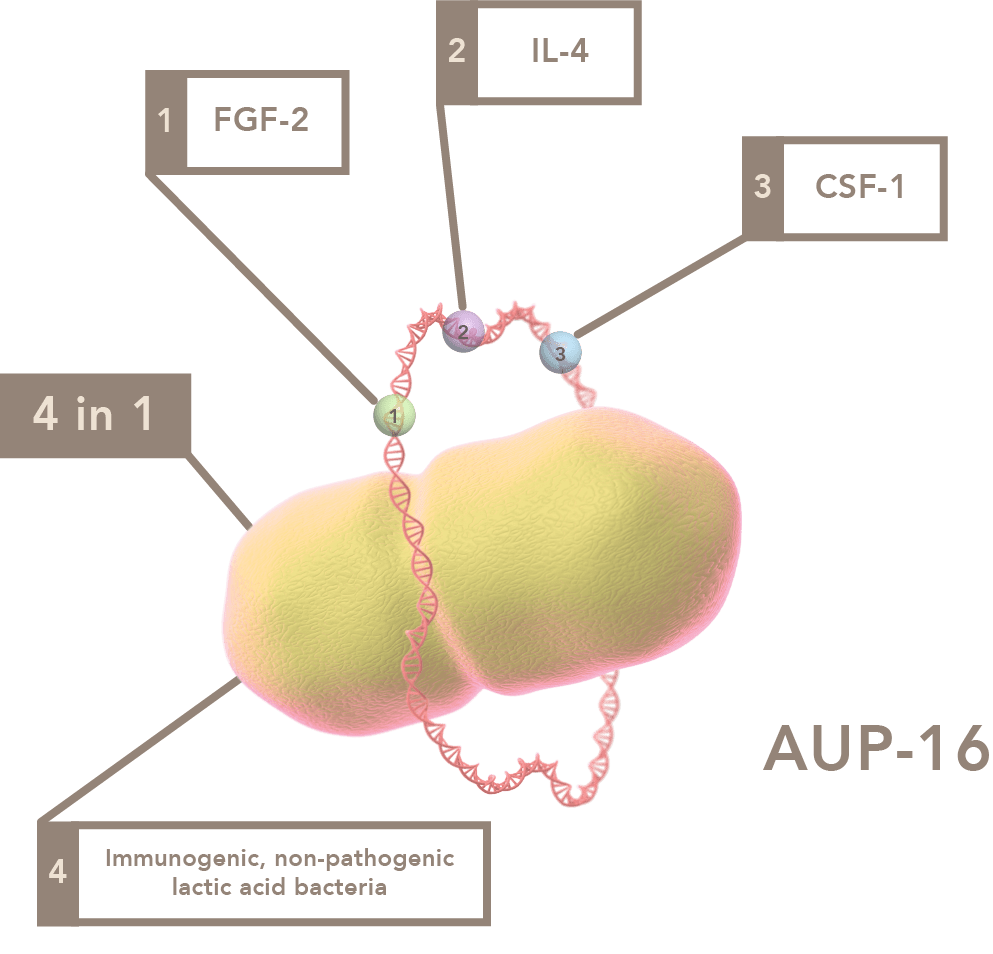 Aurealis Therapeutics AUP-16