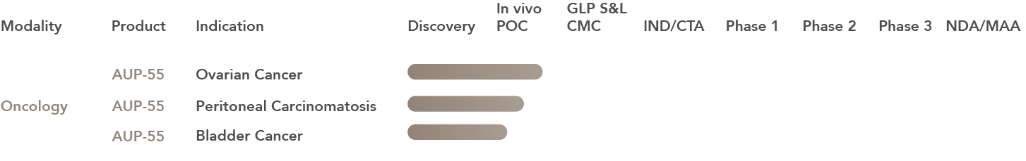 Aurealis Therapeutics Pipeline Oncology