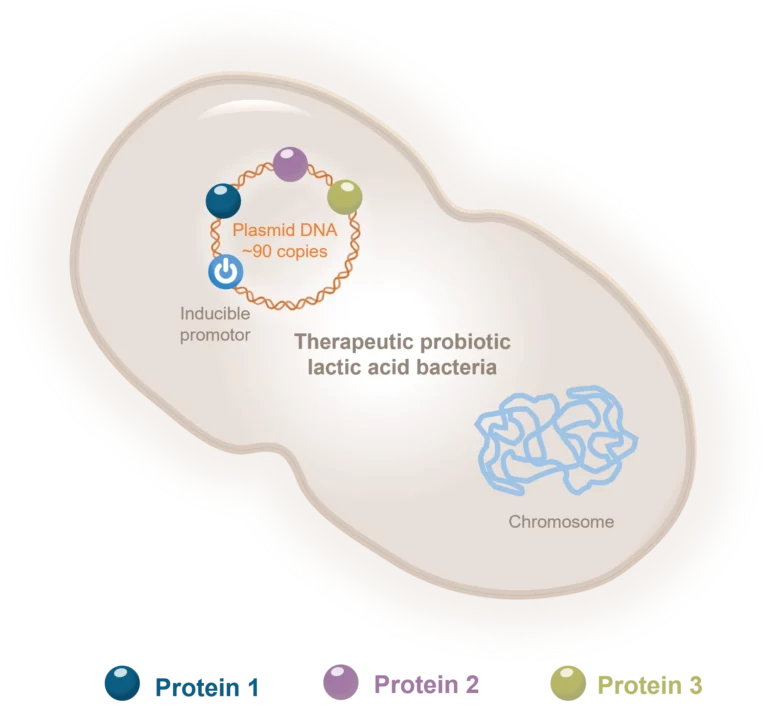 Illustration of the Aurealis Therapeutics Technology Platform